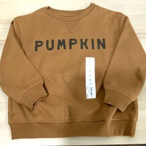 NWT!! Pumpkin Lightweight Sweatshirt Orange/Brown 2T